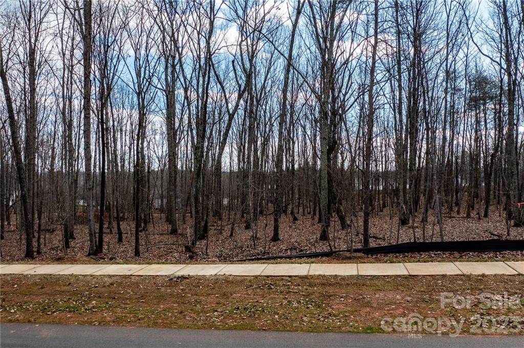 Property image 1 at Lot 14 Brancer Lane, Lincolnton, NC 28092