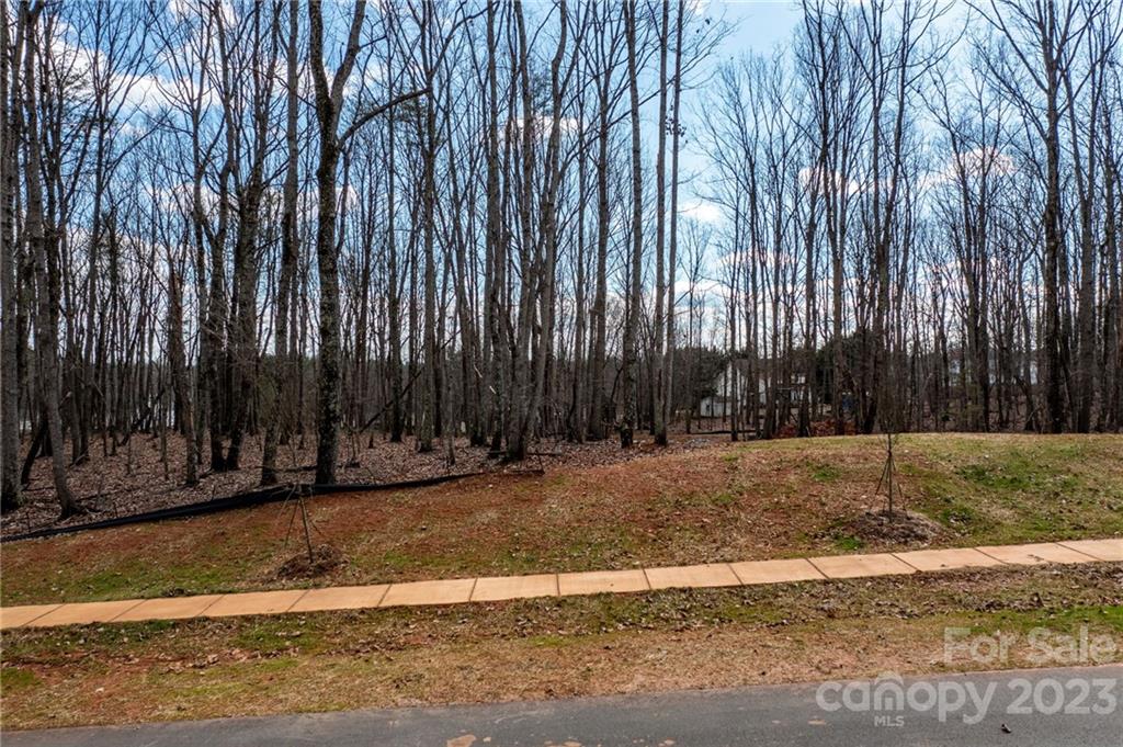 Property image 1 at Lot 16 Brancer Lane, Lincolnton, NC 28092