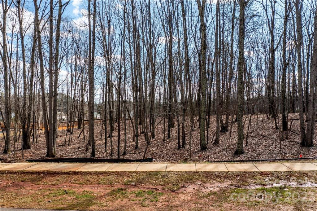 Property image 1 at Lot 17 Brancer Lane, Lincolnton, NC 28092