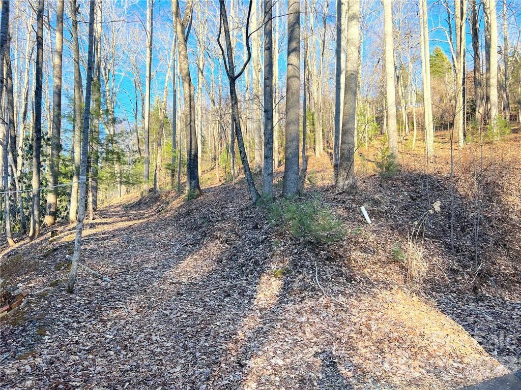 19 N Willow Wood Trail