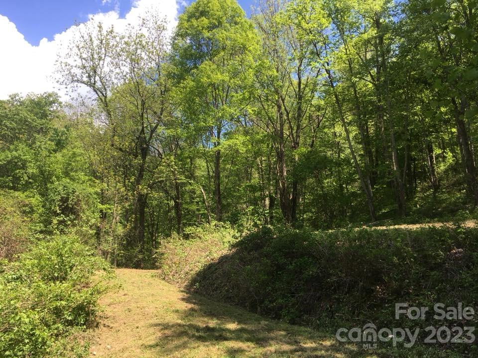 Property image 1 at 94 Locust Grove Lane, Weaverville, NC 28787