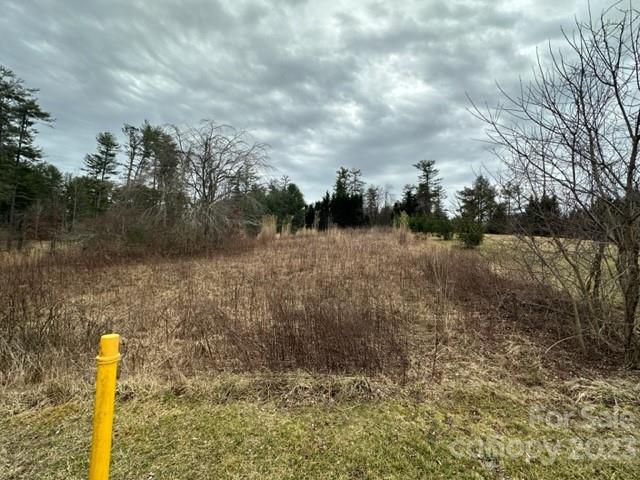 Property image 1 at 202 Montevilla Drive, Hendersonville, NC 28739