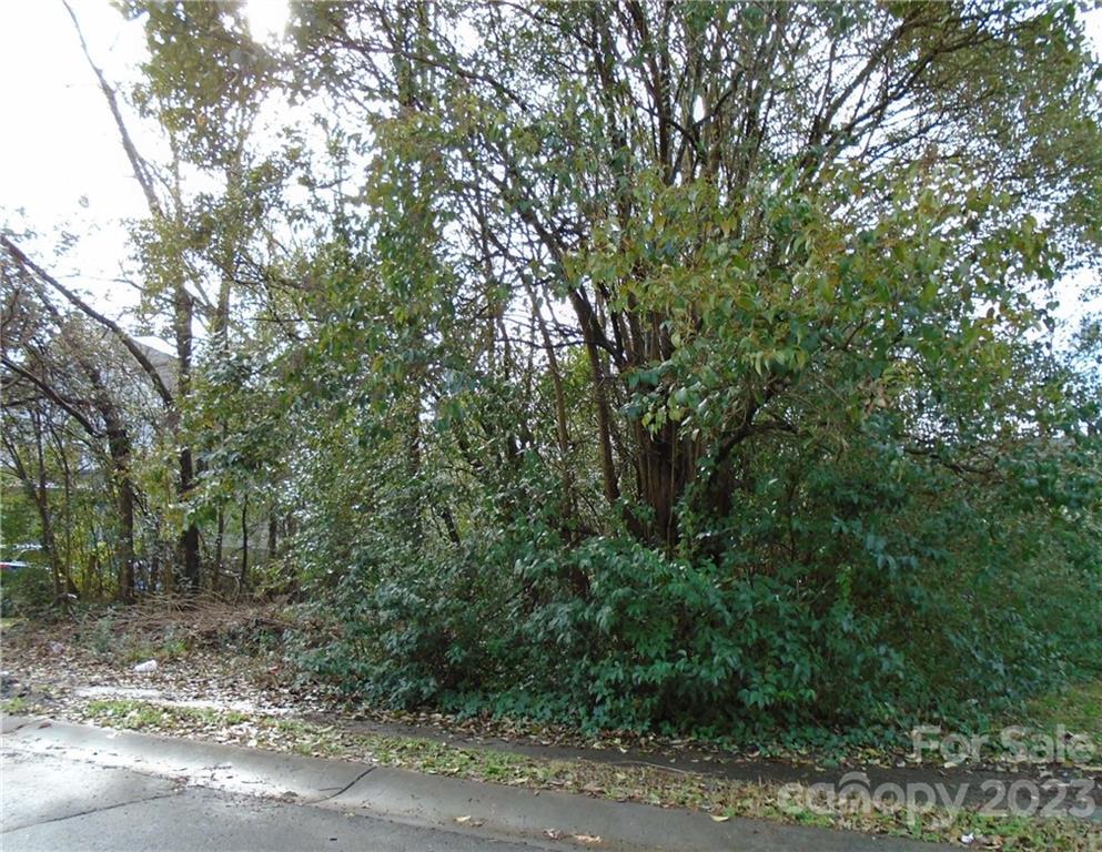 Property image 1 at 00 Renner Street, Charlotte, NC 28216