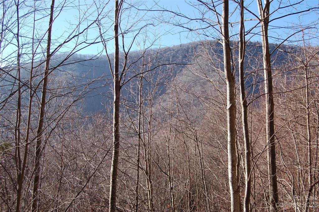 Property image 1 at 298 Winding Creek Drive, Waynesville, NC 28786