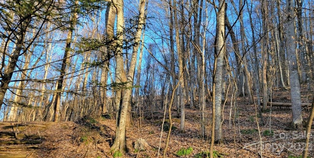 Property image 1 at 00 Parker Drive, Maggie Valley, NC 28751