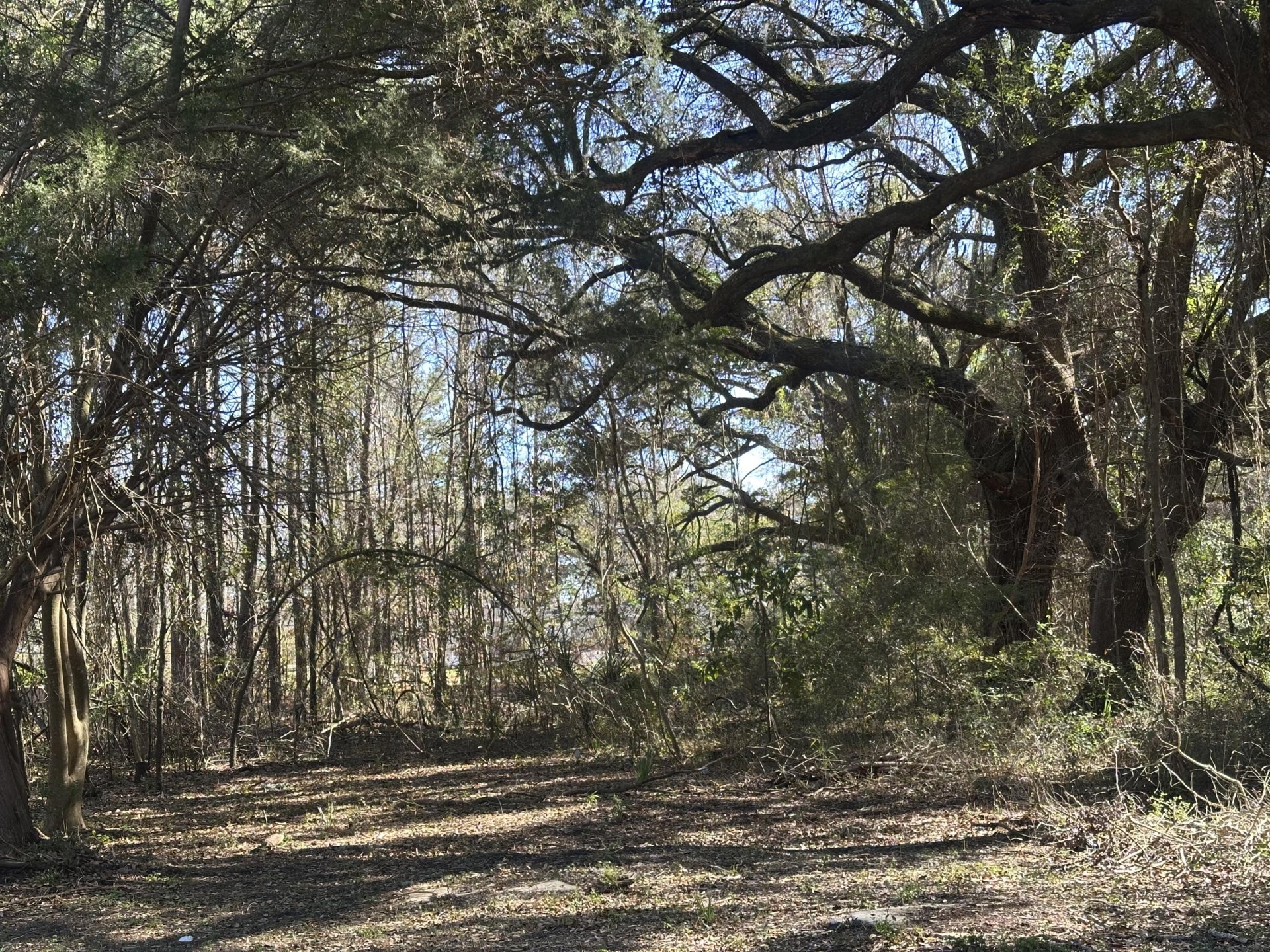 Property image 1 at 1641 Cuffy Lane, Charleston, SC 29412