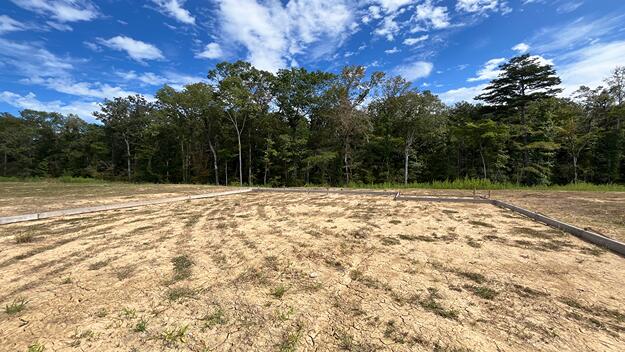 Property at 448 Tulip Poplar Drive, Moncks Corner, SC 29461