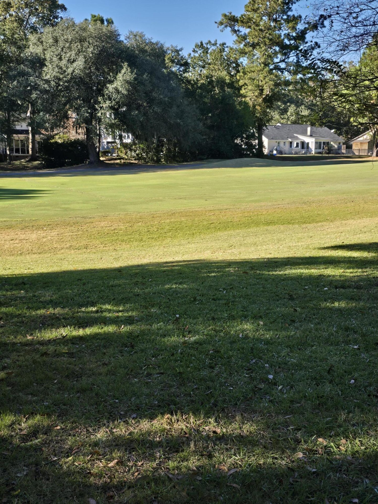 Property at 2945 Dove Haven Court, Charleston, SC 29414