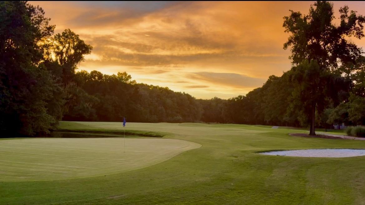 Property image 1 at 111 Pristine Court, Summerville, SC 29485