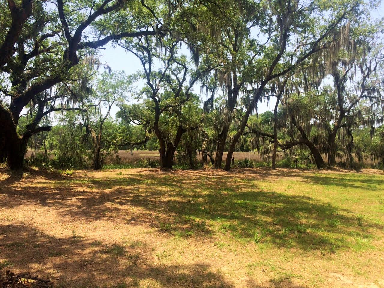 Property image 1 at 247 Wappoo Road, Charleston, SC 29407