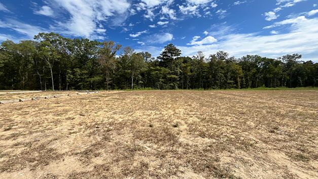 450 Tulip Poplar Drive