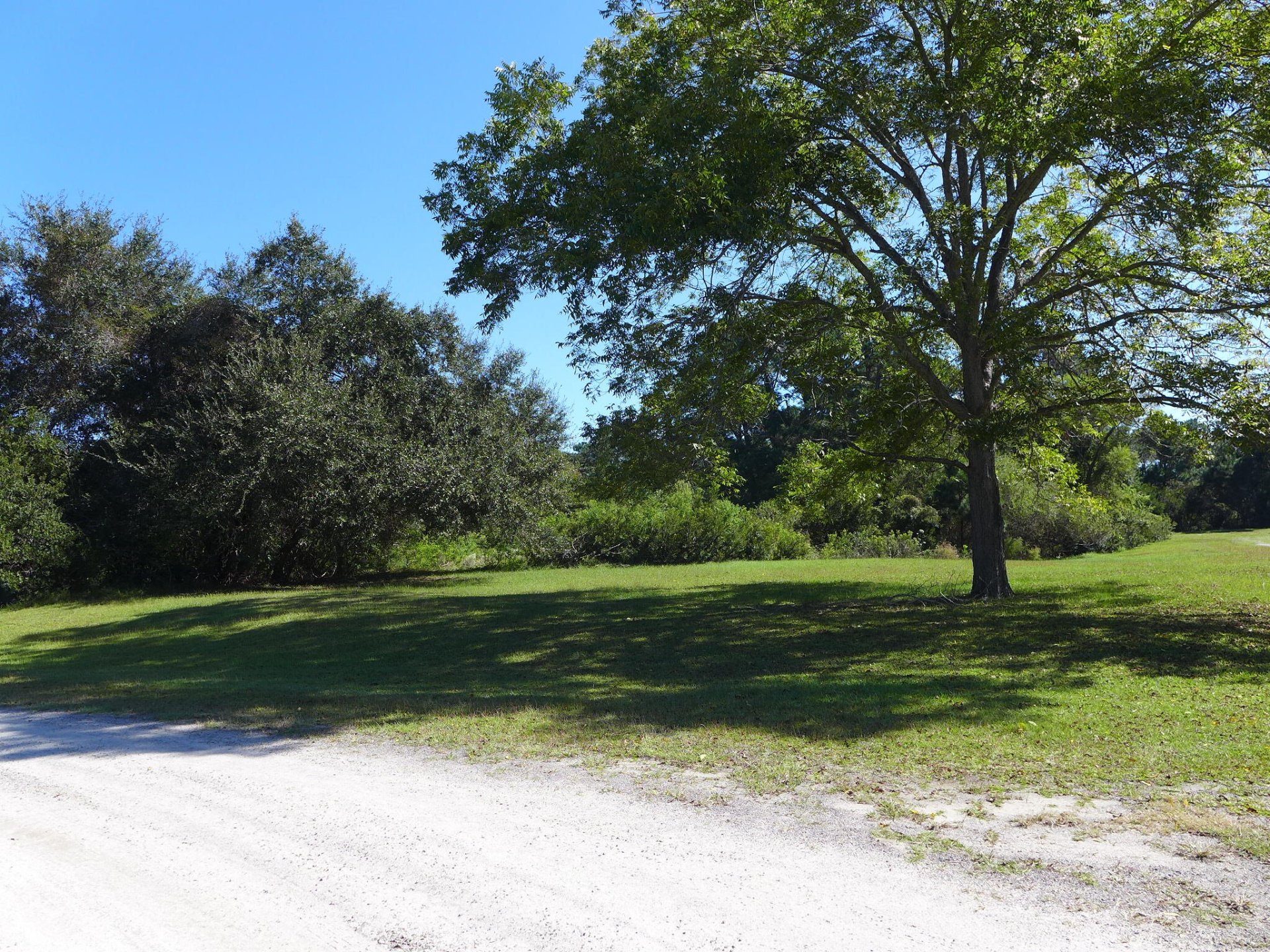 Property image 1 at Lot 44 Blackbear Drive, Edisto Island, SC 29438