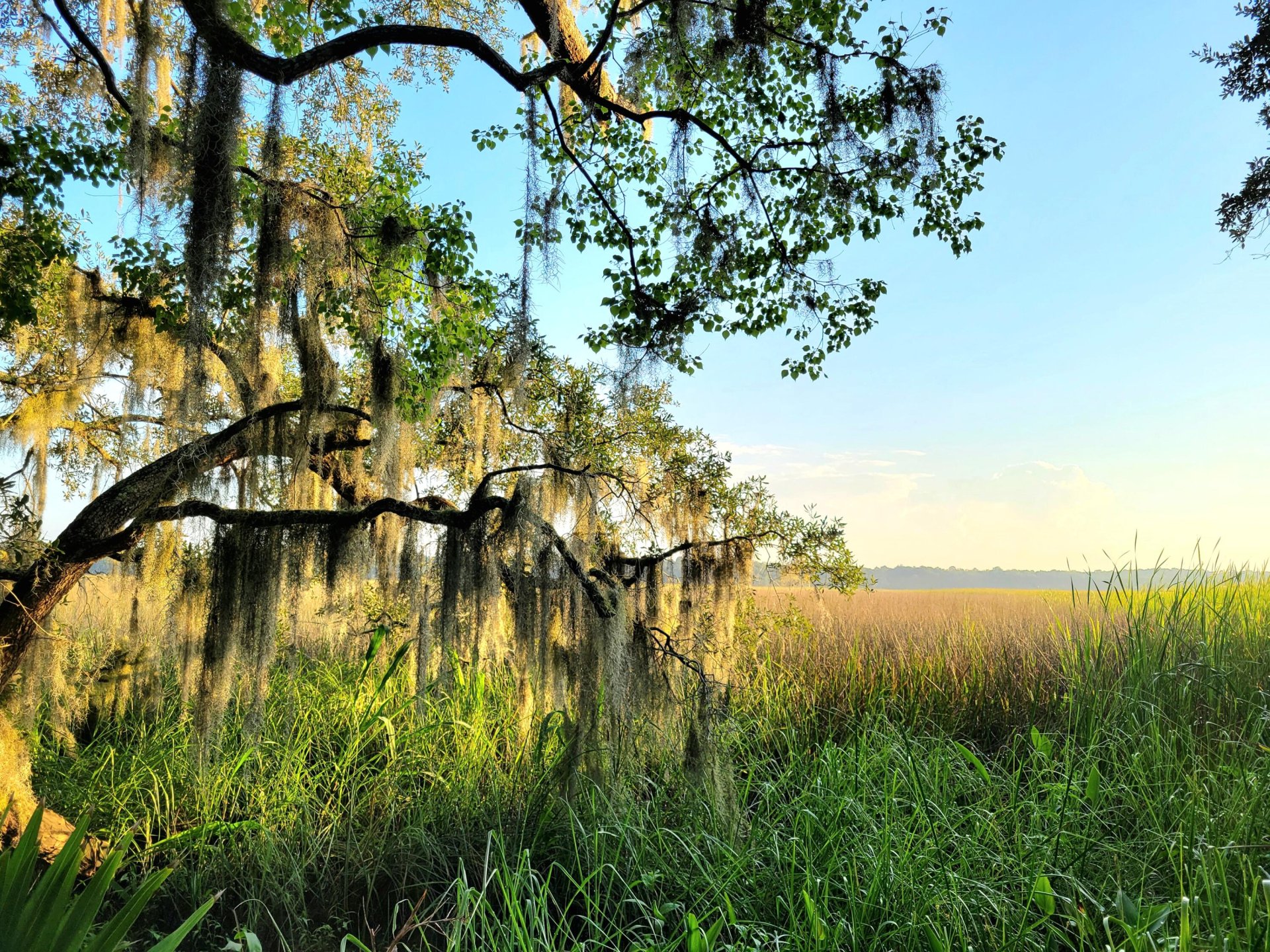 Property image 1 at 7745 Park Gate Drive, North Charleston, SC 29418