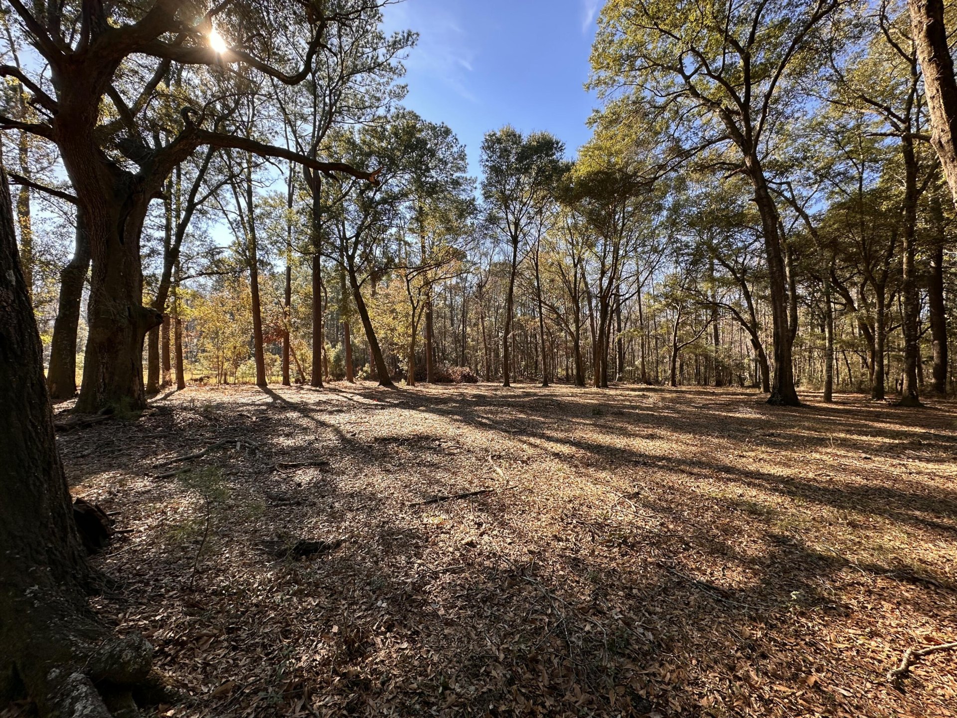 Property image 1 at 0 Cane Slash Road, Johns Island, SC 29455