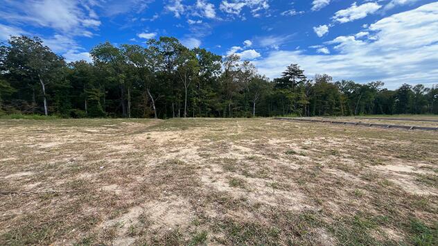 Property at 446 Tulip Poplar Drive, Moncks Corner, SC 29461