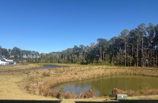 Property at 418 Great Egret, Summerville, SC 29486