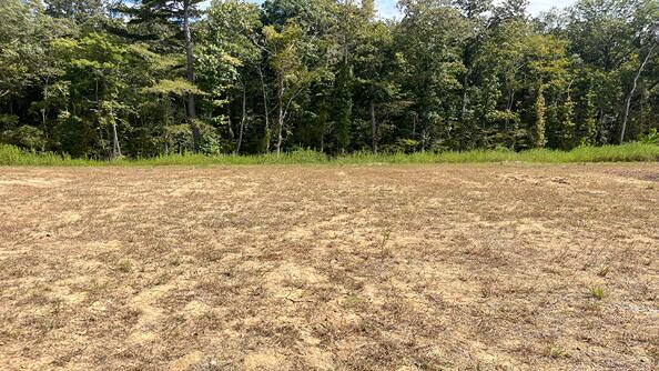 Property at 452 Tulip Poplar Drive, Moncks Corner, SC 29461