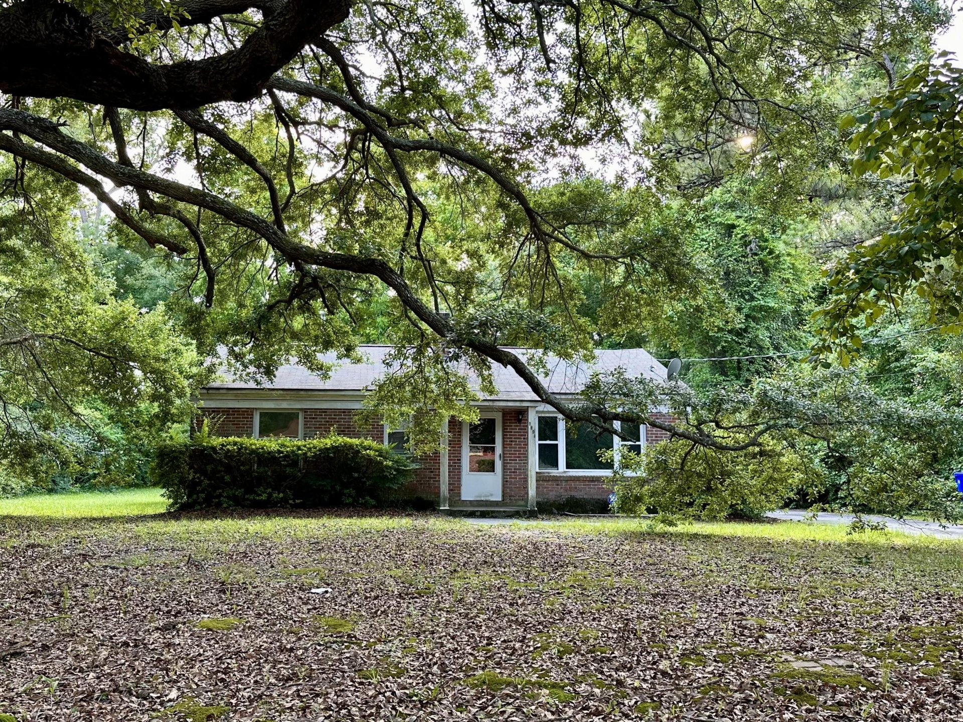 Property at 1341 Witter Street, Charleston, SC 29412