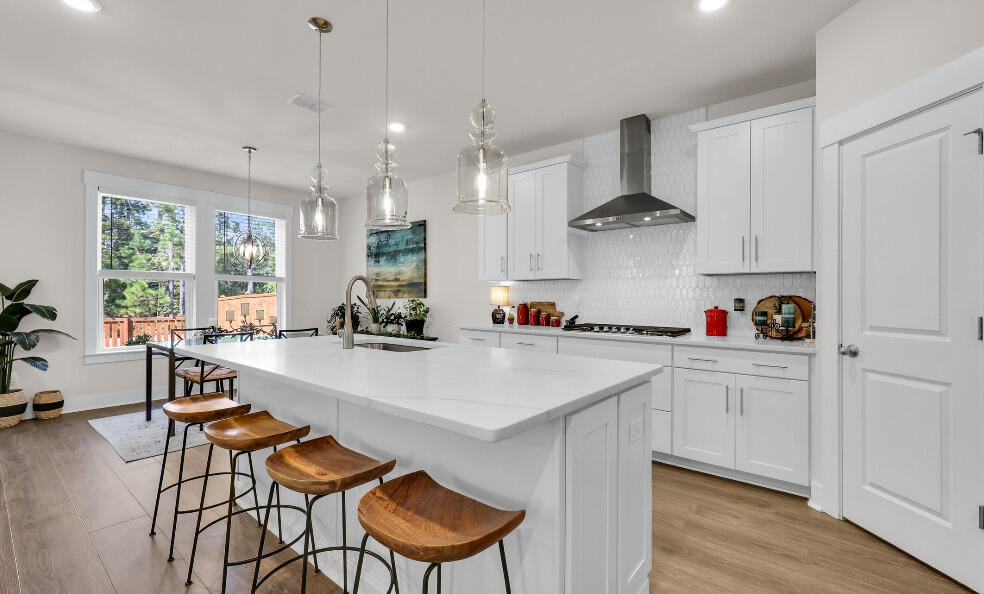 Property image 1 at 174 Wappoo Trace Lane, Summerville, SC 29486