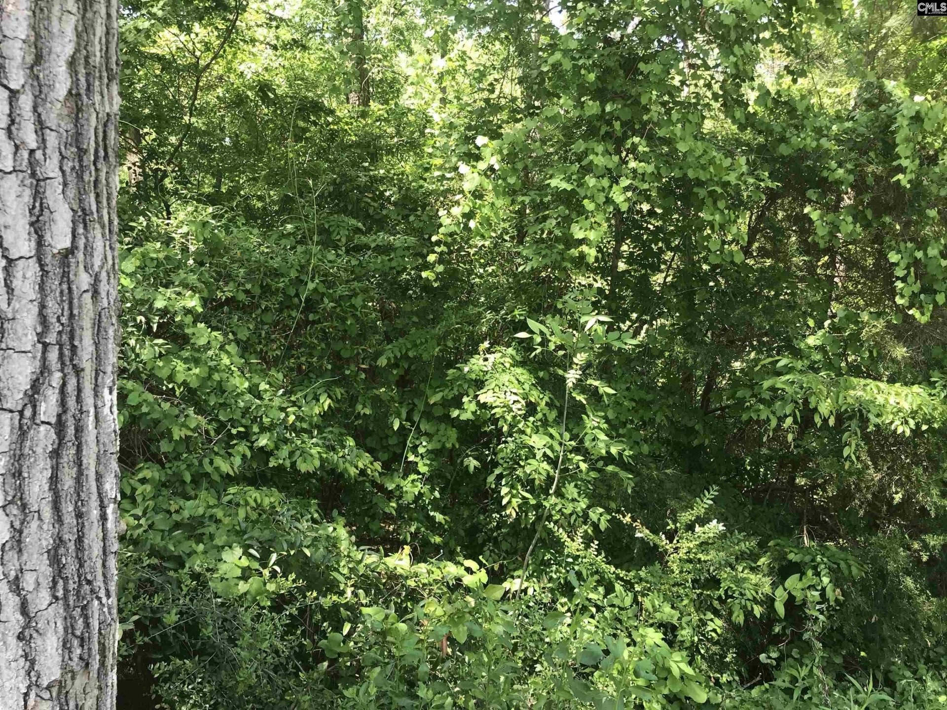 Property at 4910 Woodbrier Street, Columbia, SC 29203