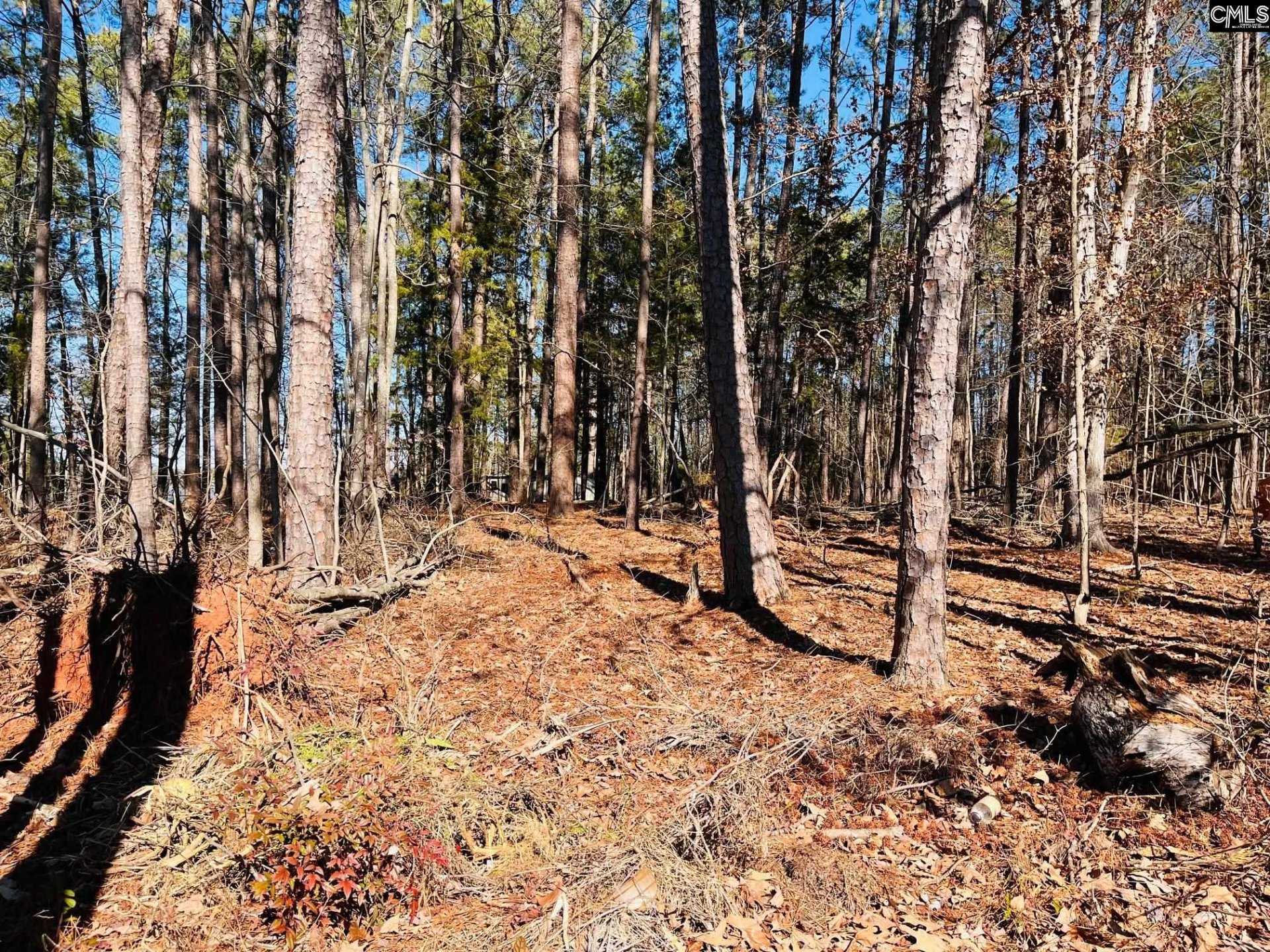 LAKE MURRAY SHORES, Leesville community