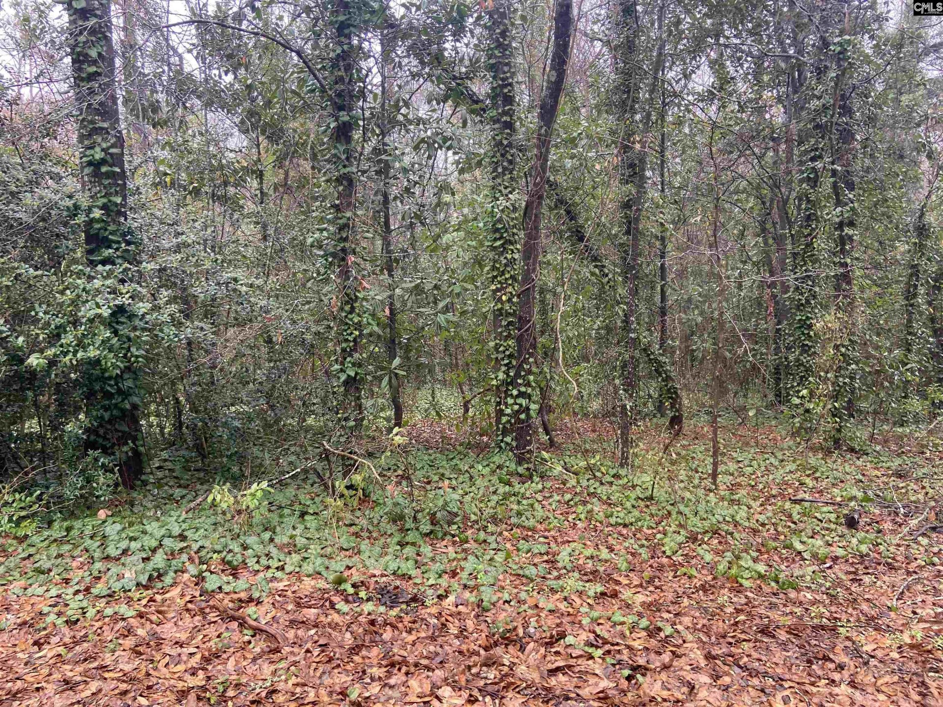 Property at 1951 Forest Drive, Camden, SC 29020-0000