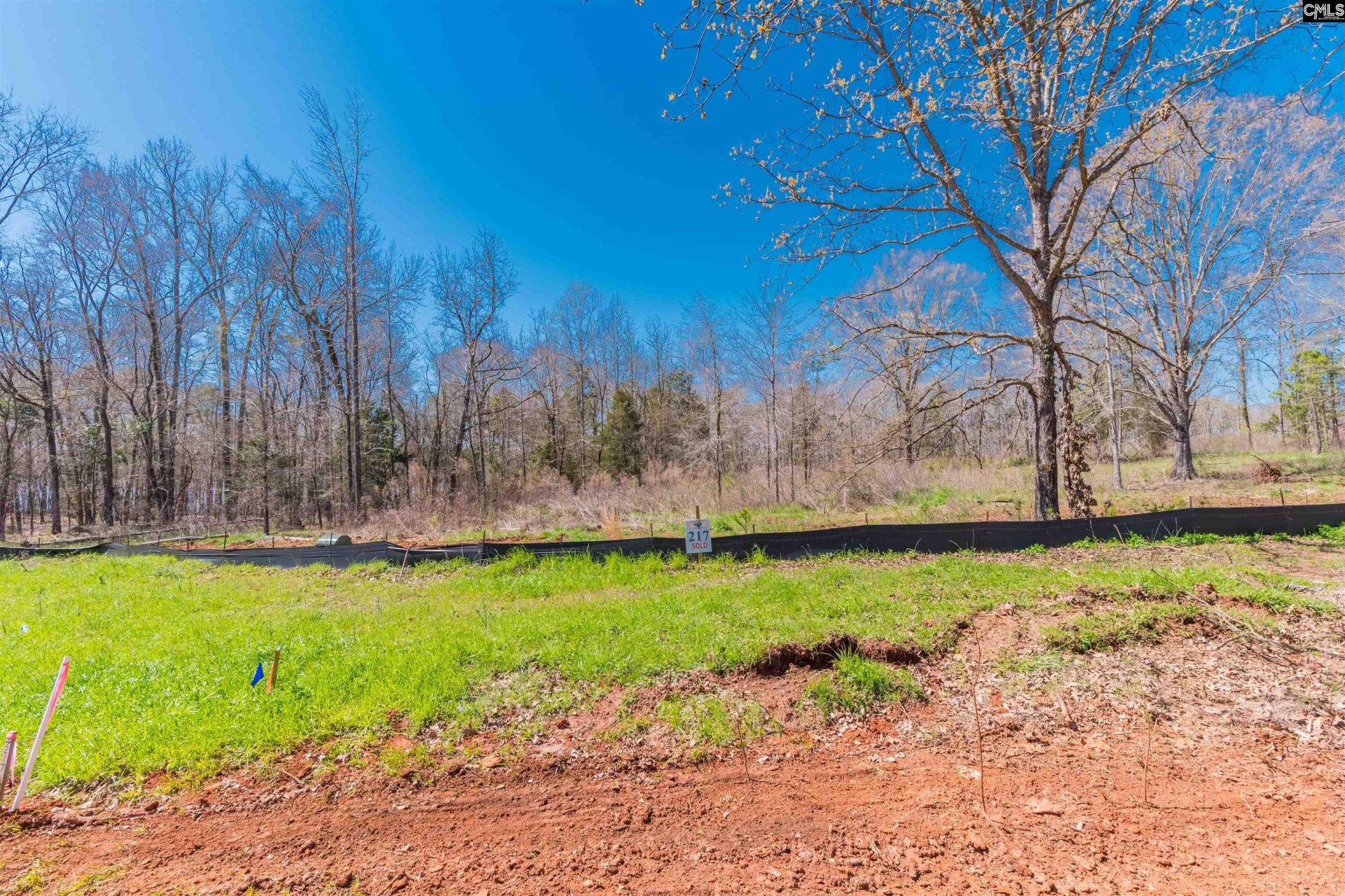 Property at 0 Lands End Lane, Prosperity, SC 29127