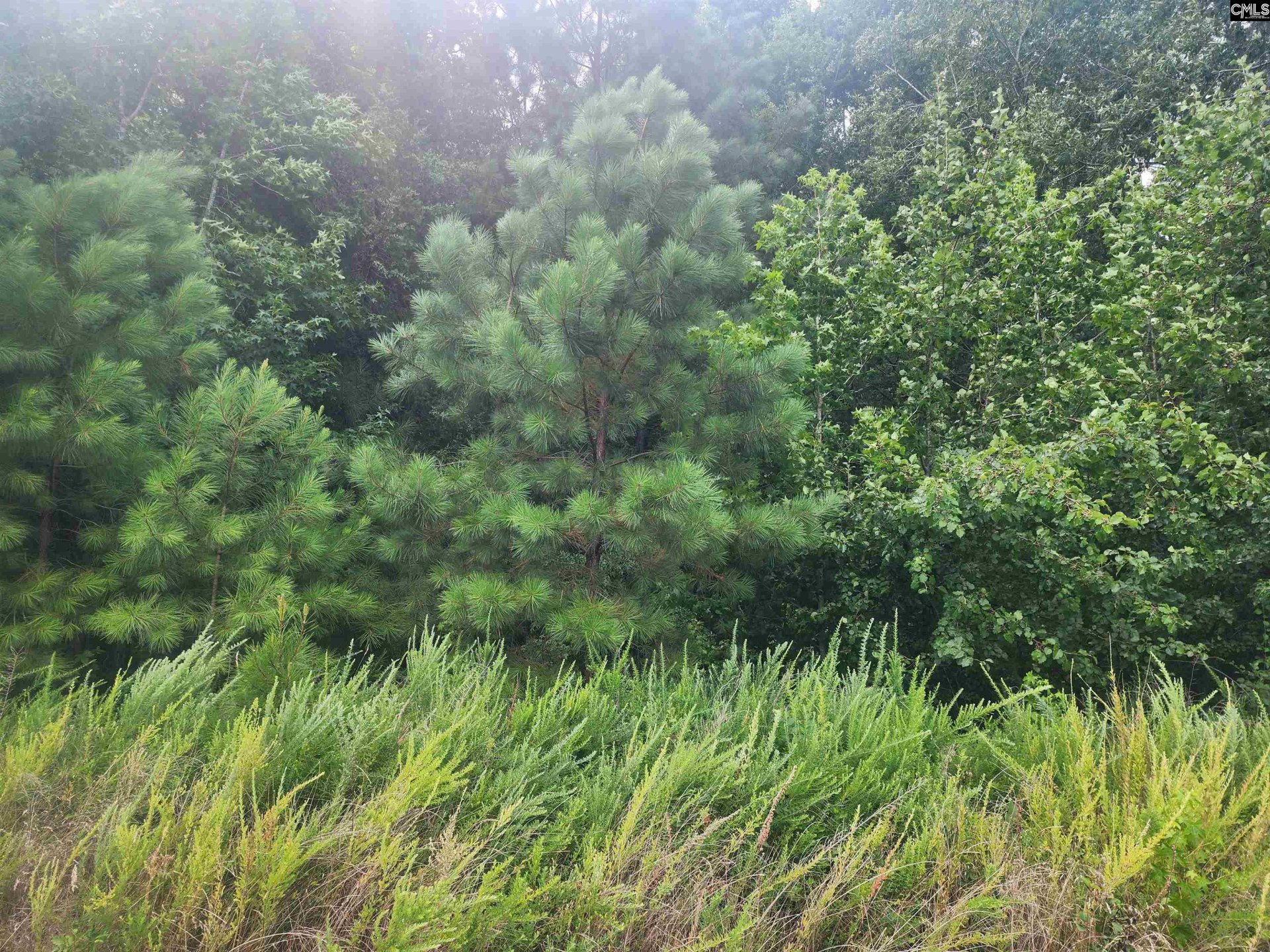 Property at Forest Ridge Drive, Newberry, SC 29108