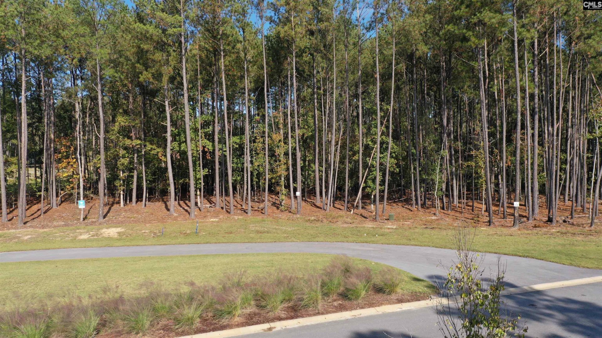 Property at Stewart Landing Drive, Prosperity, SC 29127
