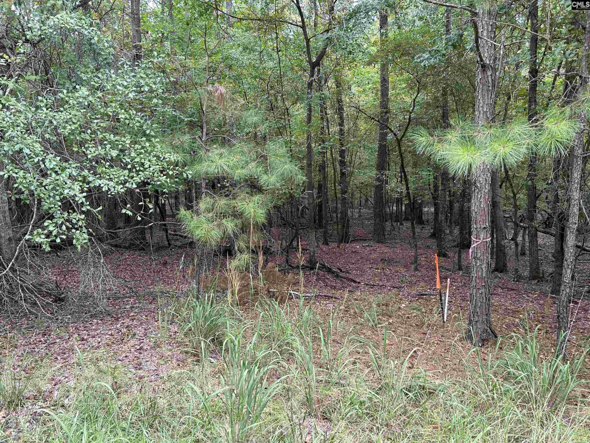 Property at 0 Little Saluda Lane, Batesburg, SC 29006