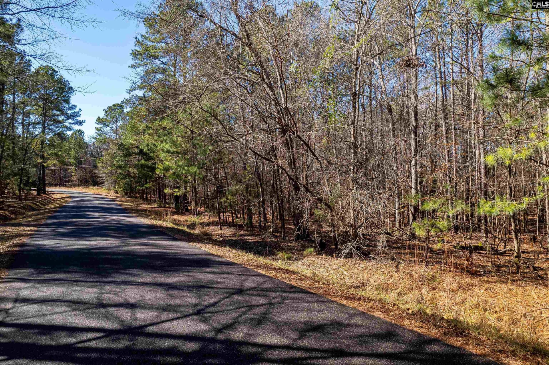 Property at 1105 Scooter Bridge Road, Batesburg, SC 29006
