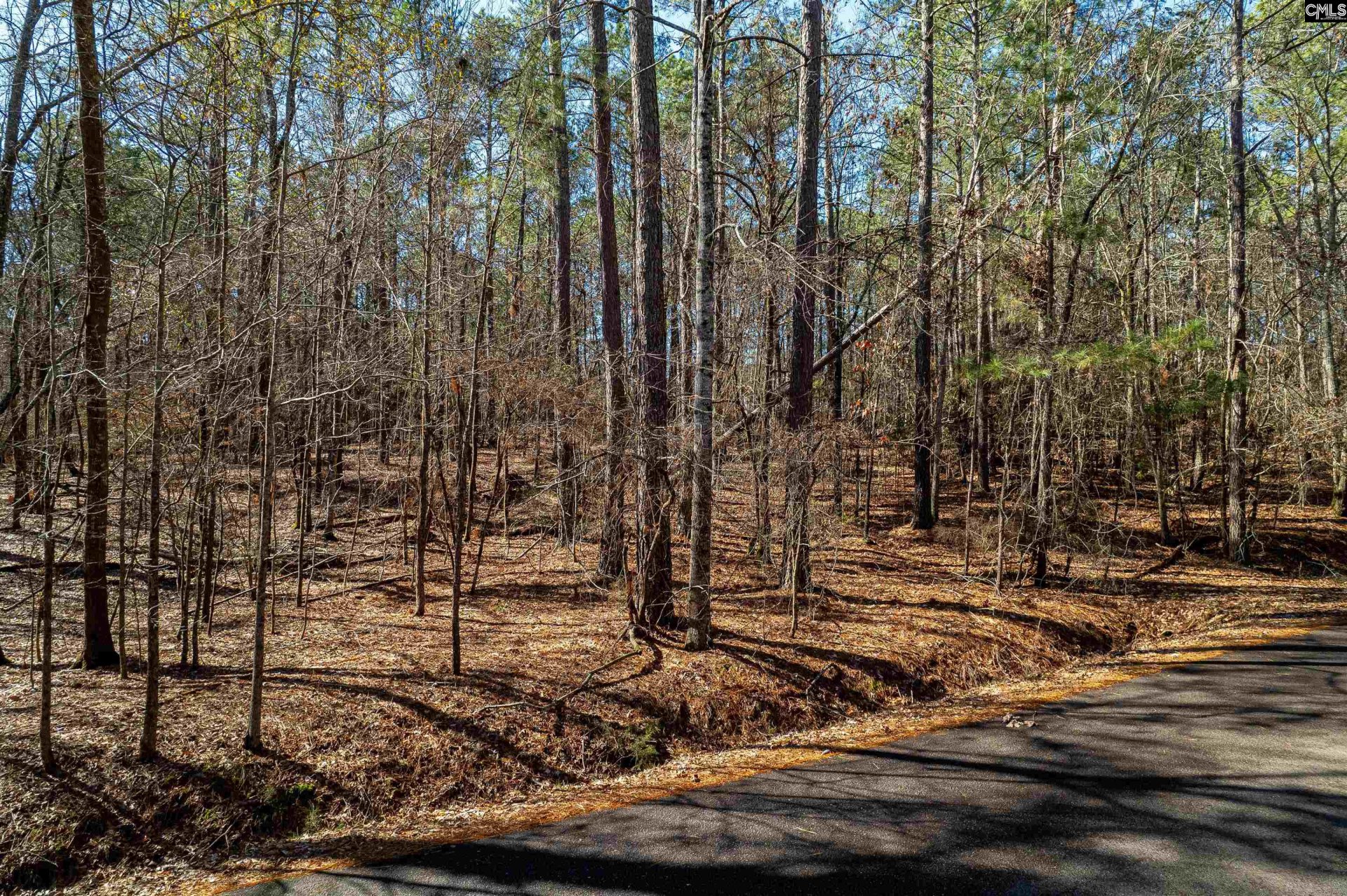 Property at Little Saluda Lane, Batesburg, SC 29006