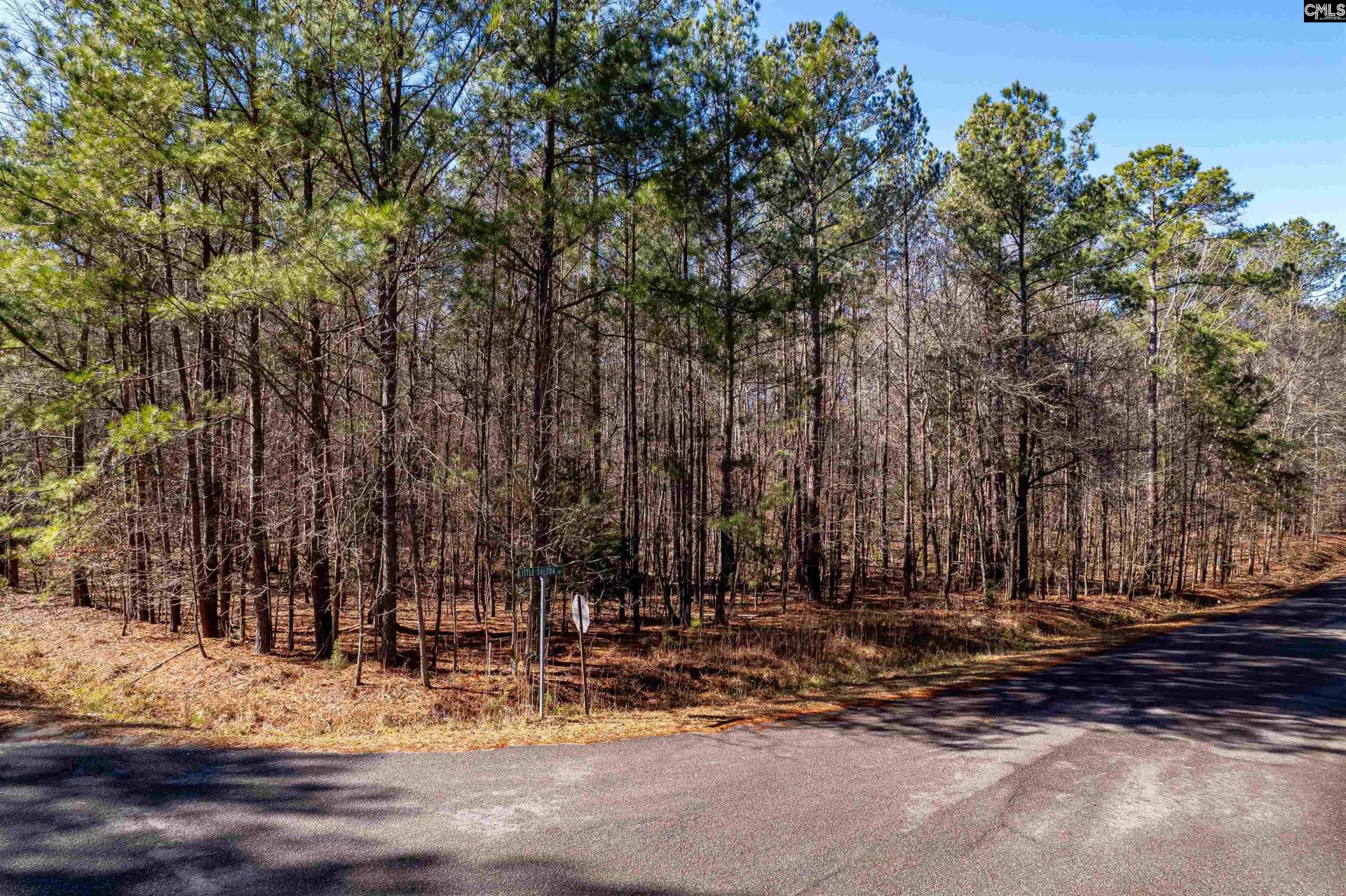 Property at 1115 Scooter Bridge Road, Batesburg, SC 29006