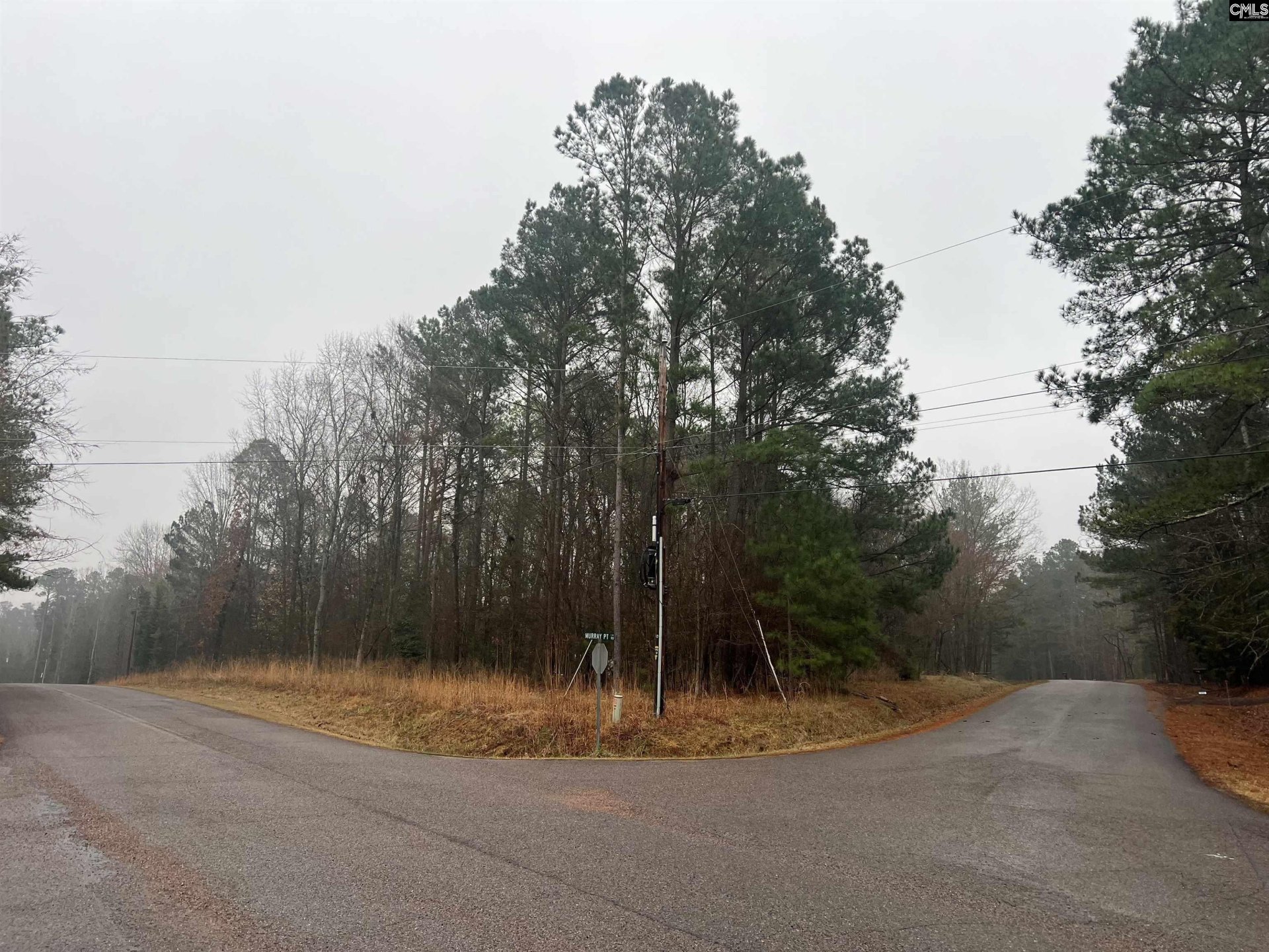 Property at Murray Point, Batesburg, SC 29006