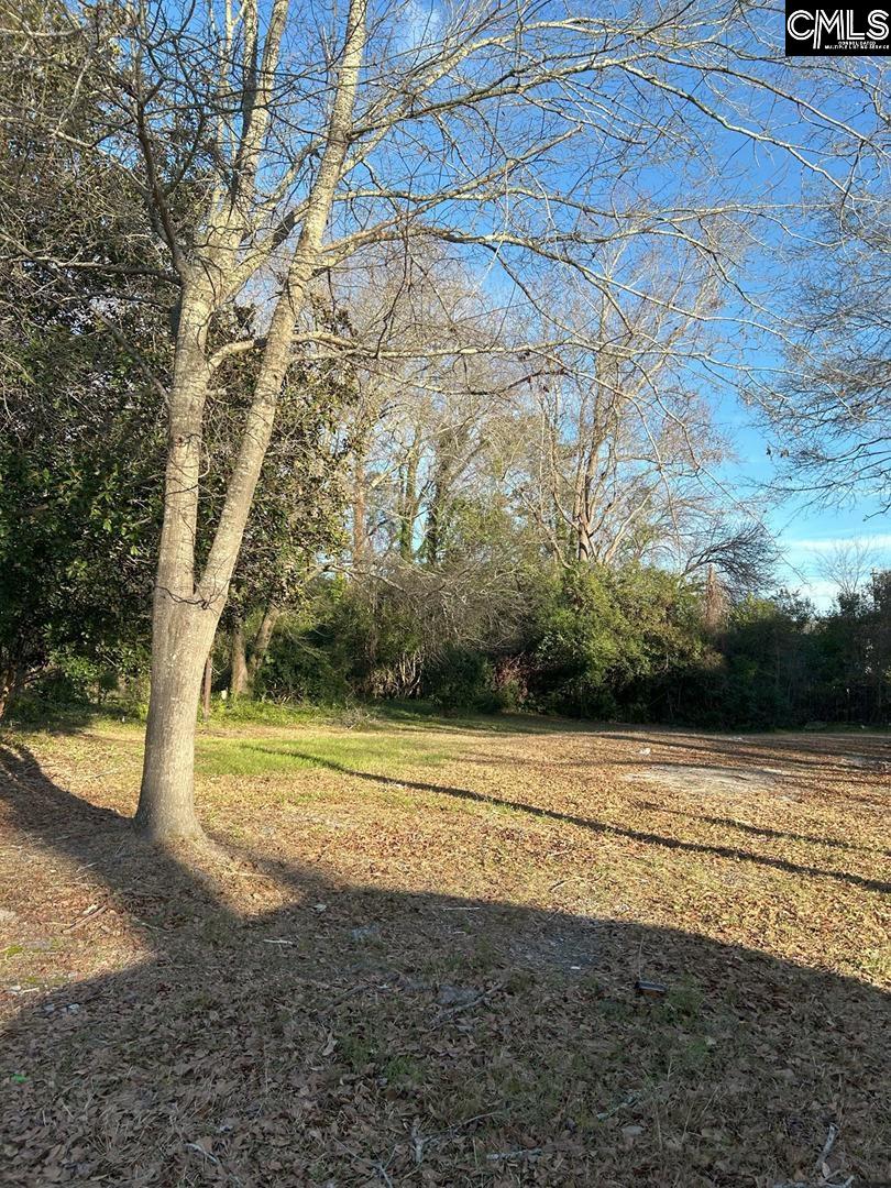 Property at 1833 Isabel Street, Columbia, SC 29203