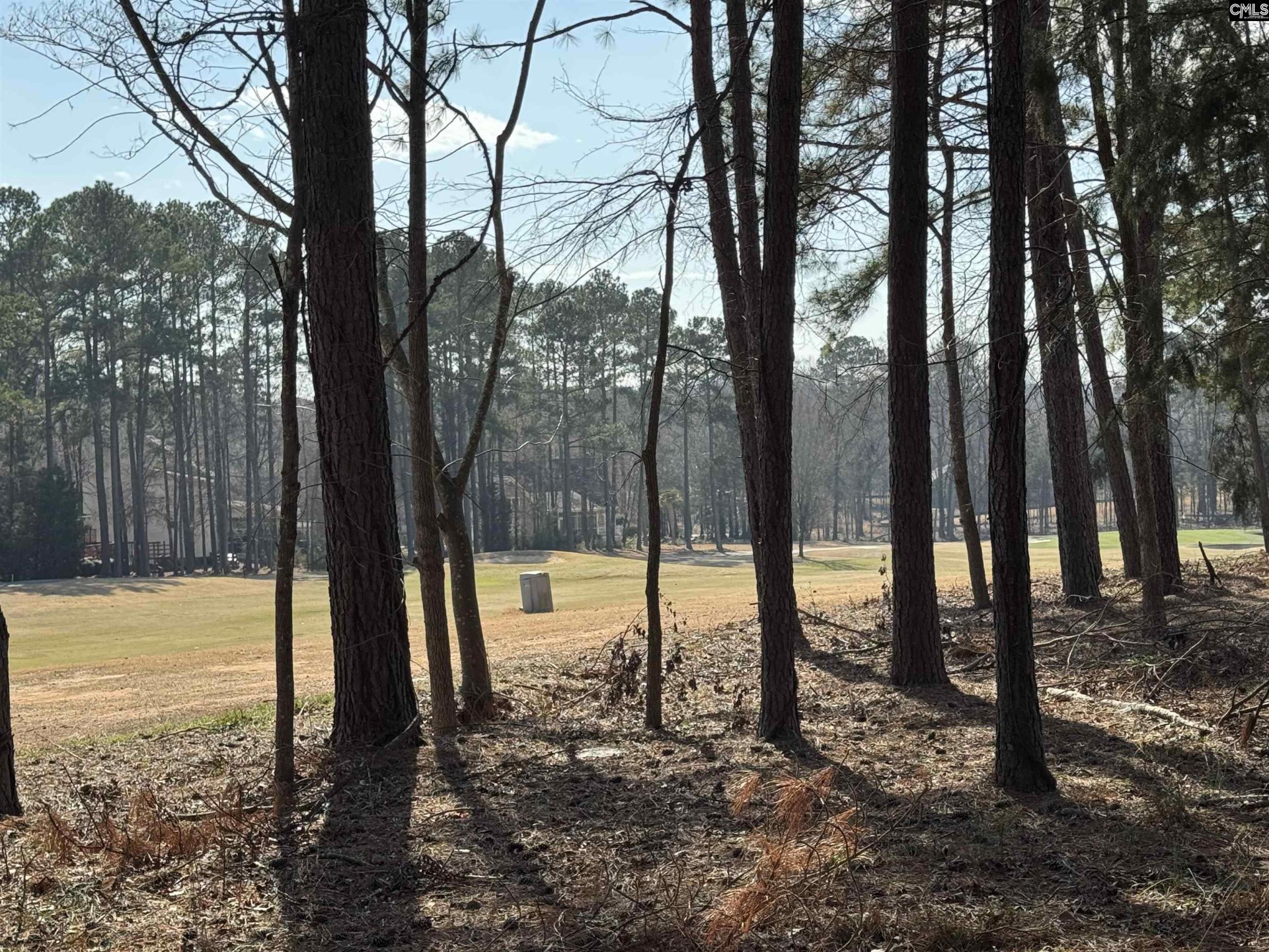 Property at Misty Banks Drive, Chapin, SC 29036