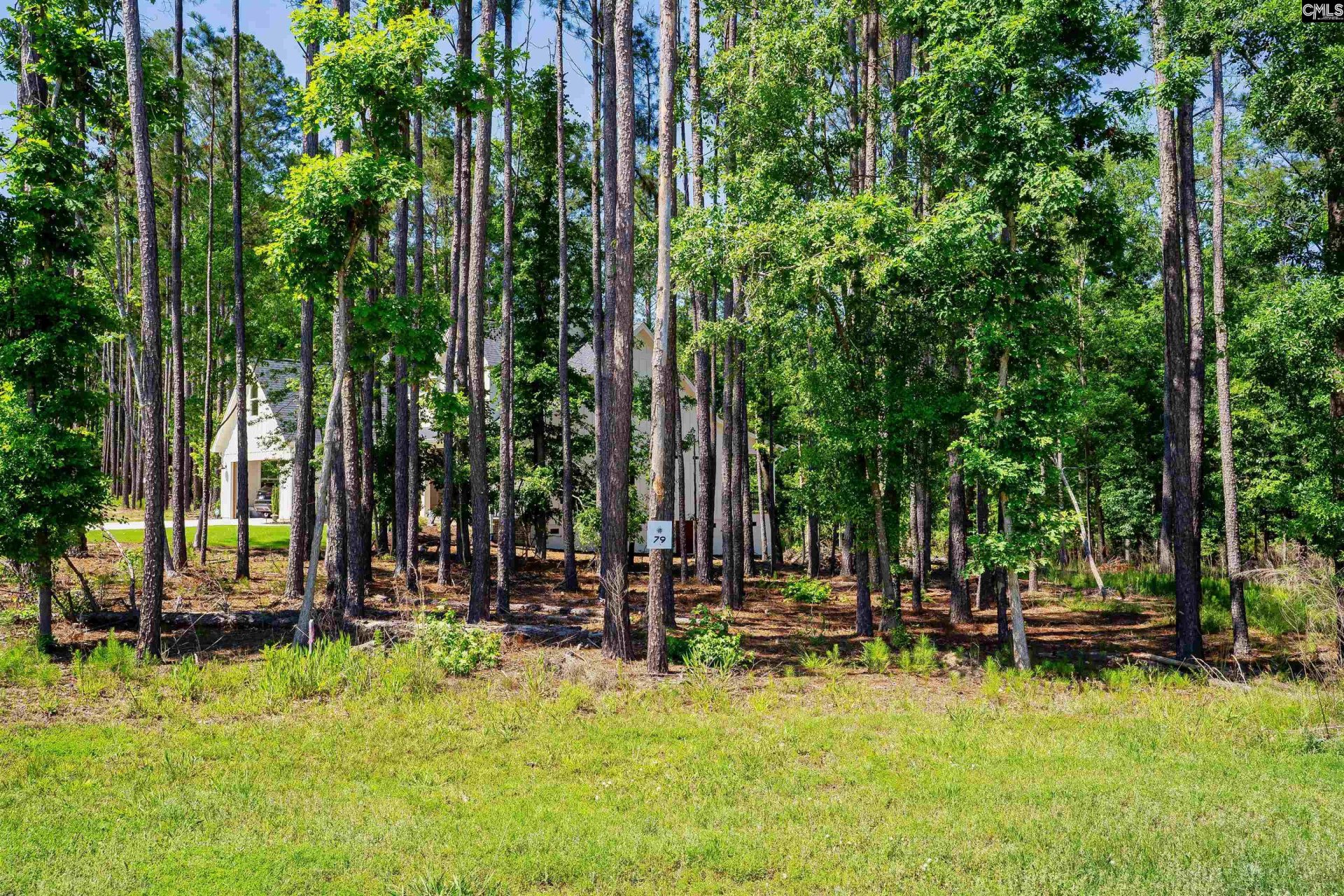 Property at Lot 79 Timbertrail Lane, Prosperity, SC 29127