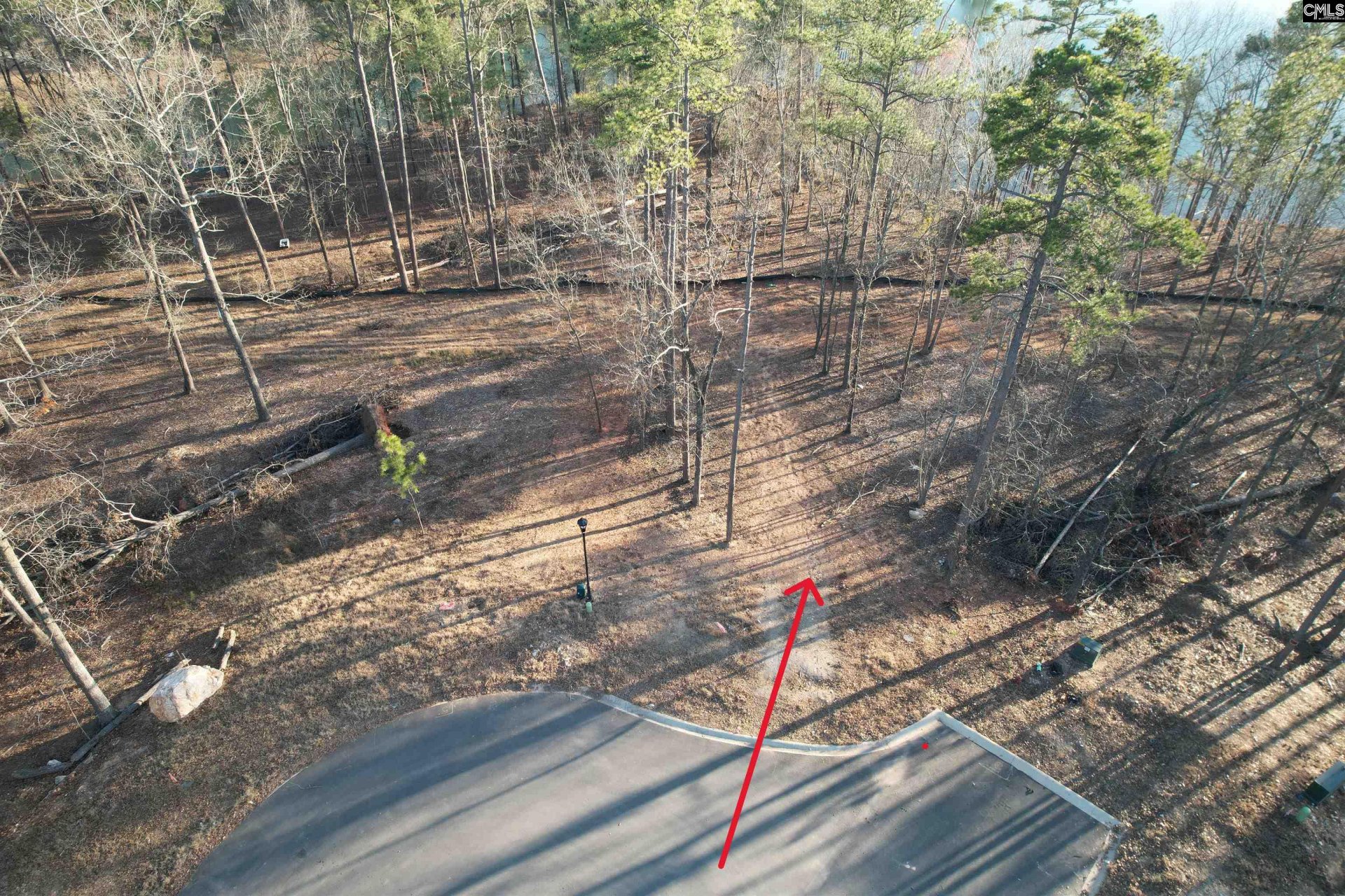 Property at 1533 Saugus Court, Chapin, SC 29036