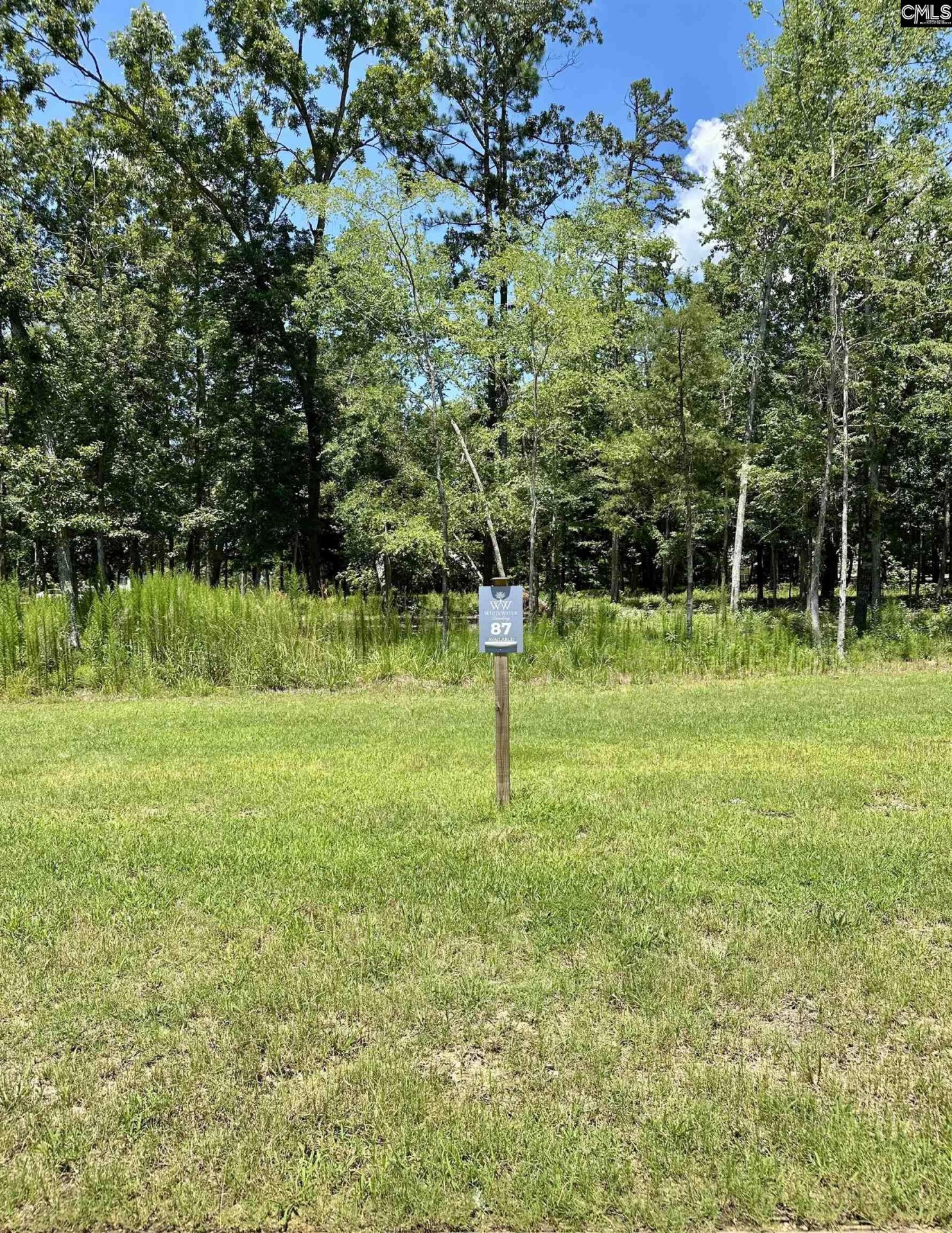 Property at 546 Misty Banks Drive, Chapin, SC 29036