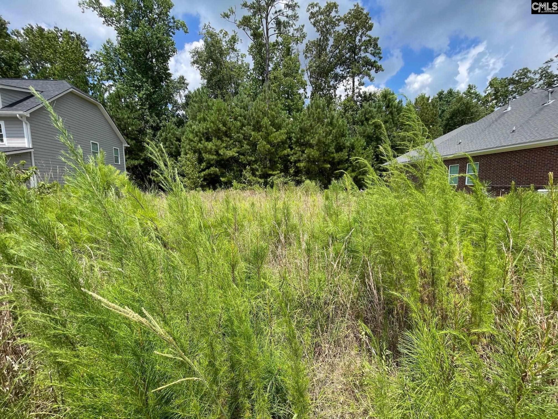 Property at 84 Dogwood Cottage Court, Blythewood, SC 29016