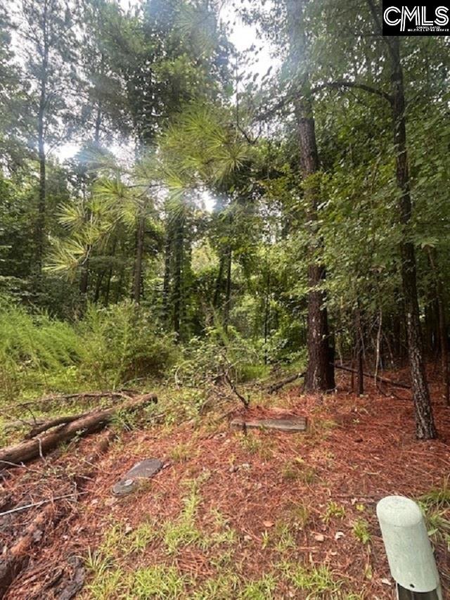 CORLEY WOODS, Lexington community