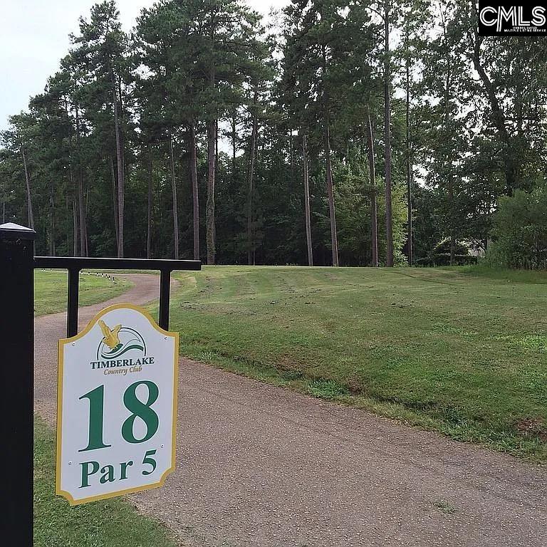 Property at 111 Water Links Drive, Chapin, SC 29036