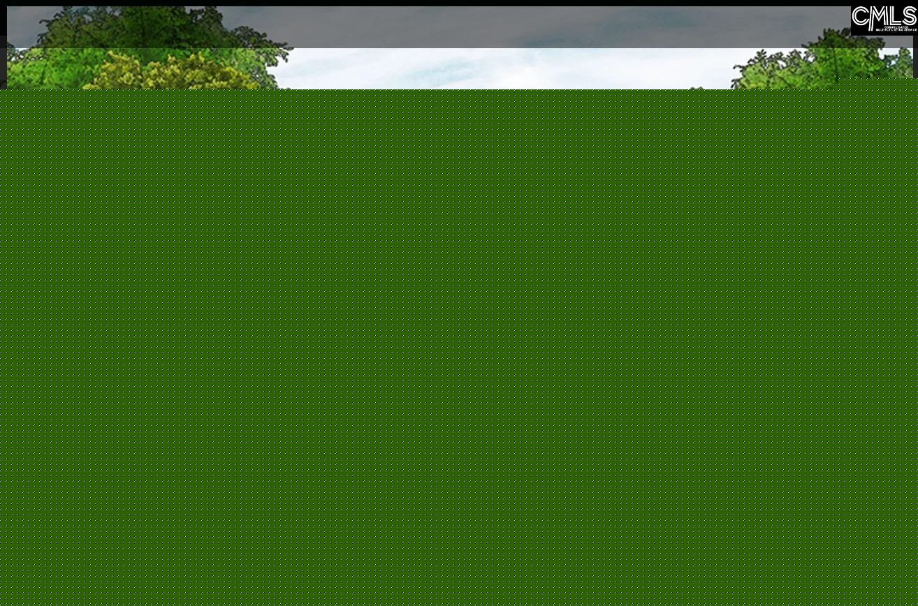 Property at 288 Murray Falls Lane, Chapin, SC 29036