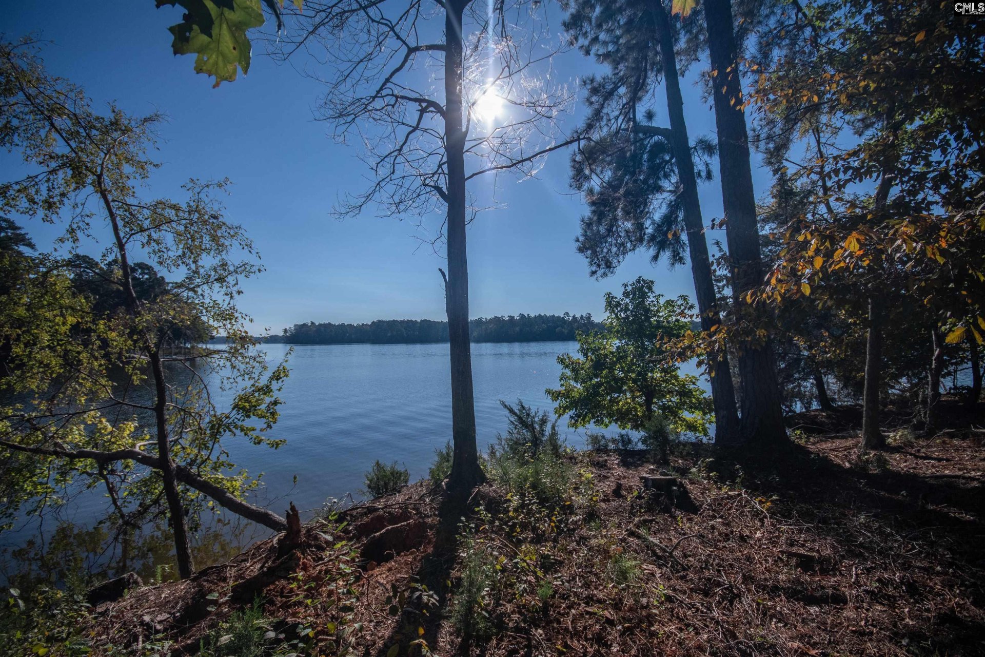 Property at 193 Lands End Lane, Prosperity, SC 29127