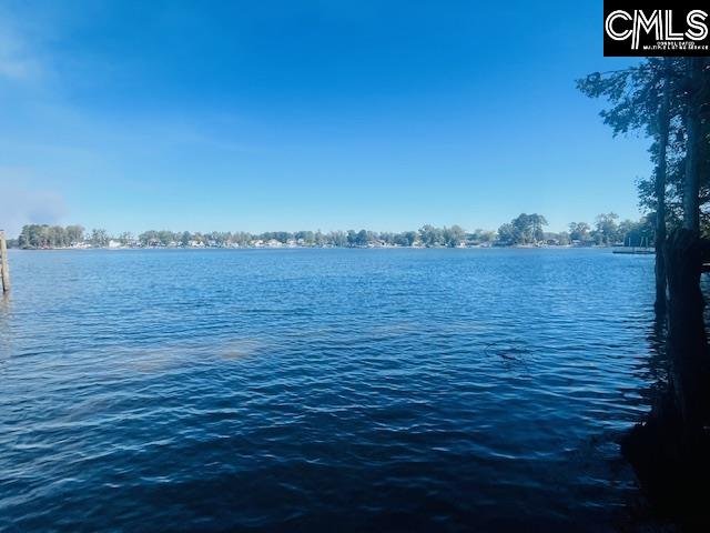 Property at 163 Murray Point, Batesburg, SC 29006