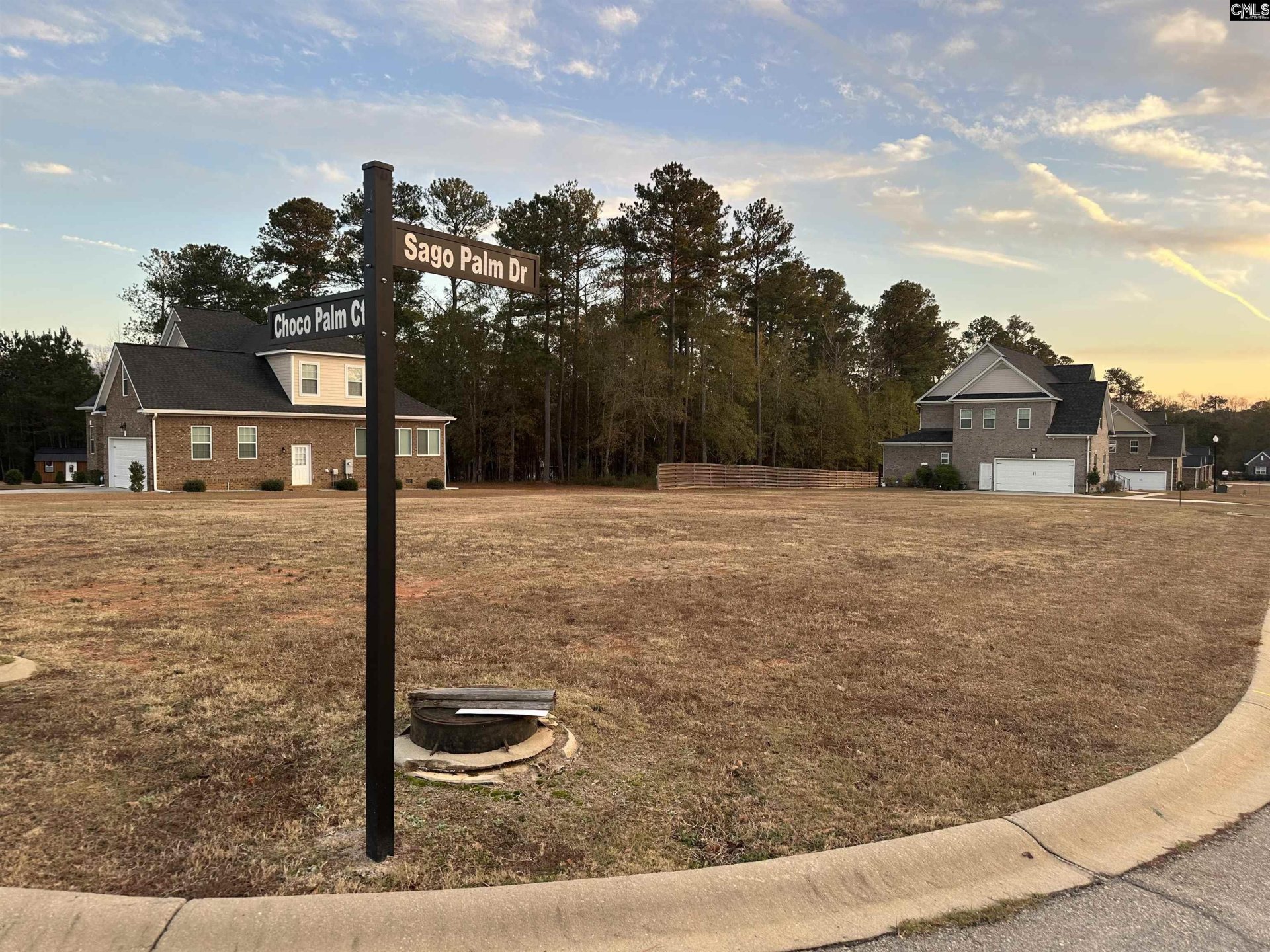 The Palms, Orangeburg community