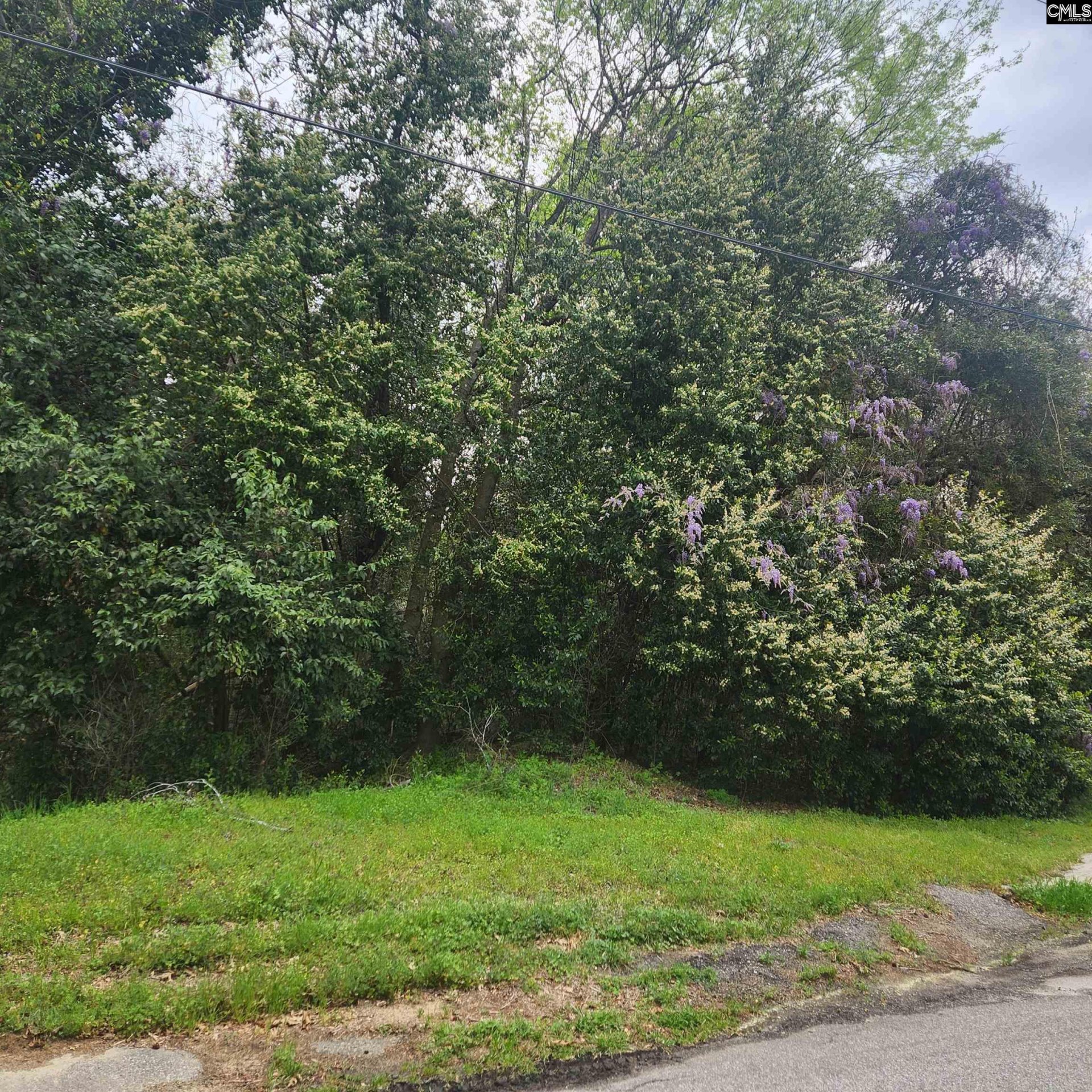 CEDAR TERRACE, Columbia community