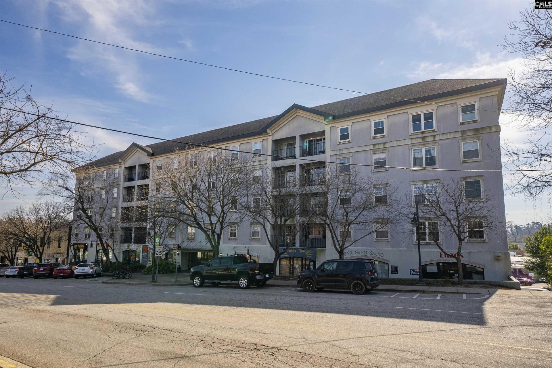 PLACE ON THE GREENE, Columbia community