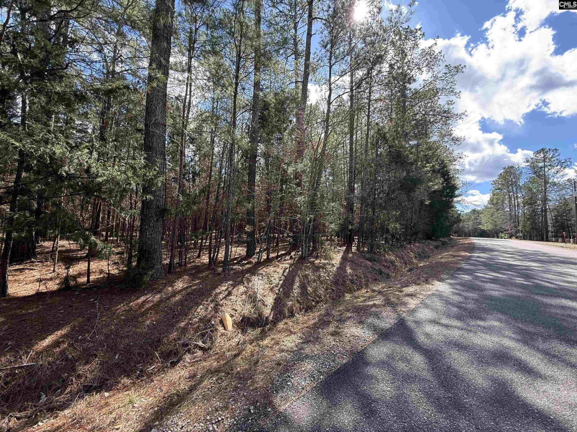 LAKE MURRAY ESTATES, Batesburg community