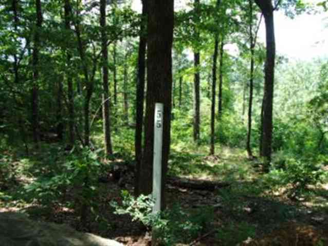 Property image 1 at Lot 55 Look Off Drive, Cleveland, SC 29635